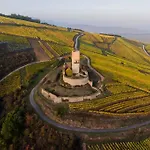 Aux Portes De Colmar Evasion Sur La Route Des Vins , A 5 Minutes De Colmar 잉어스하임