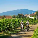 Aux Portes De Colmar Evasion Sur La Route Des Vins , A 5 Minutes De Colmar 아파트 *