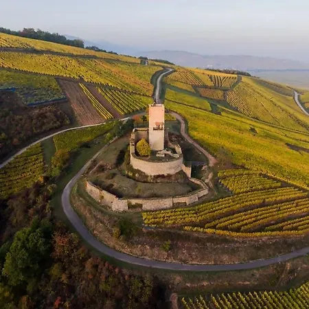Aux Portes De Colmar Evasion Sur La Route Des Vins , A 5 Minutes De Colmar Ingersheim