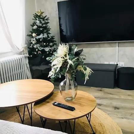 Aux Portes De Colmar Evasion Sur La Route Des Vins , A 5 Minutes De Colmar Apartment Ingersheim