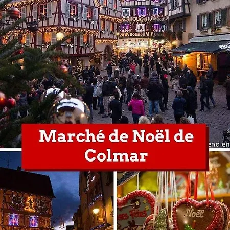 Διαμέρισμα Aux Portes De Colmar Evasion Sur La Route Des Vins , A 5 Minutes De Colmar