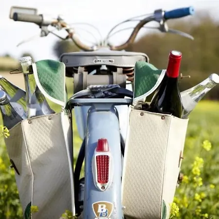 Aux Portes De Colmar Evasion Sur La Route Des Vins , A 5 Minutes De Colmar Daire