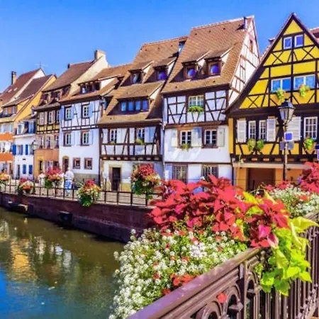 Aux Portes De Colmar Evasion Sur La Route Des Vins , A 5 Minutes De Colmar Apartment