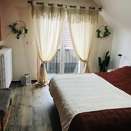 Aux Portes De Colmar Evasion Sur La Route Des Vins , A 5 Minutes De Colmar Daire