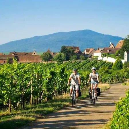 Aux Portes De Colmar Evasion Sur La Route Des Vins , A 5 Minutes De Colmar Daire *