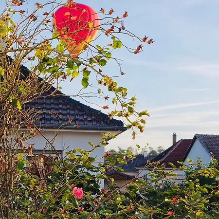 Aux Portes De Colmar Evasion Sur La Route Des Vins , A 5 Minutes De Colmar Apartment Ingersheim